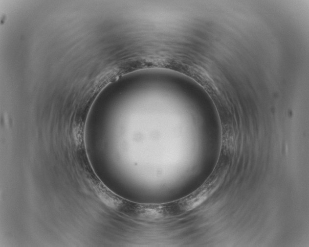 X0000090460285200707131301