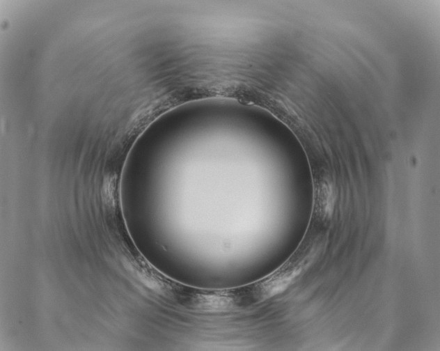 X0000090460286200707131301