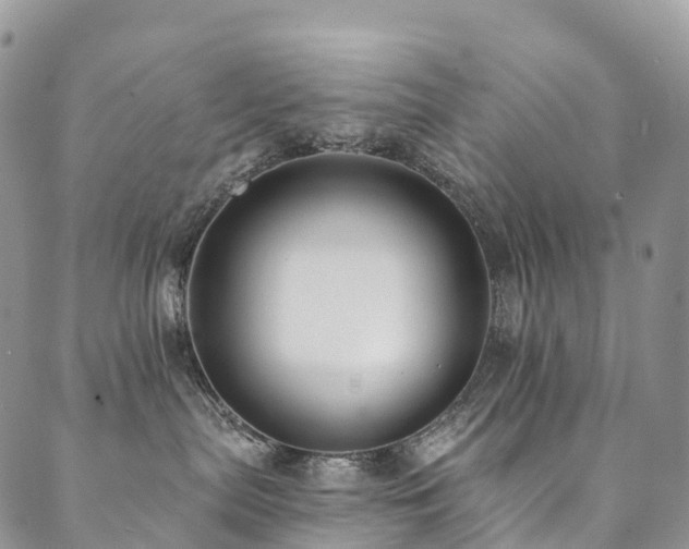 X0000090460287200707131301