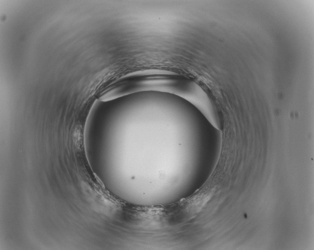 X0000090460288200707131301