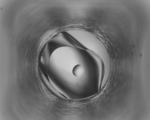 X0000090460293200707131300