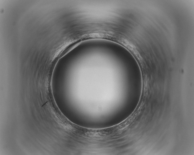 X0000090460297200707131300