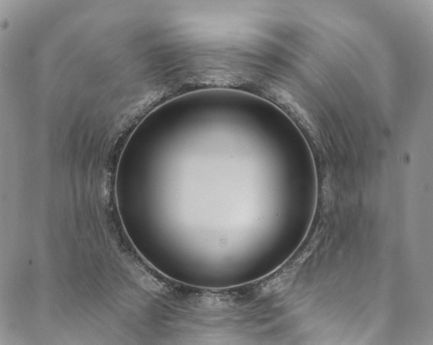 X0000090460305200707131300