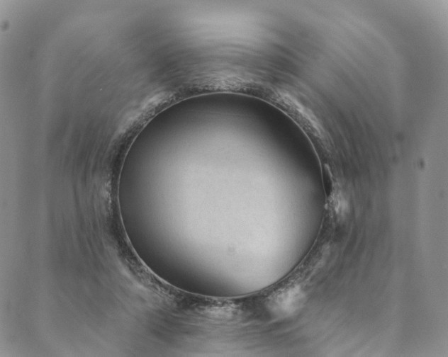 X0000090460306200707131300