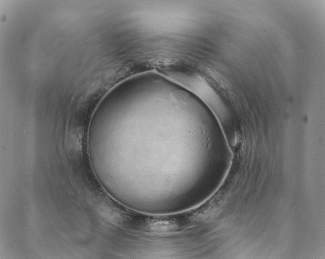 X0000090460315200707131300