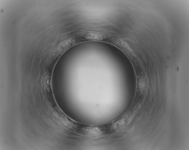 X0000090460322200707131300
