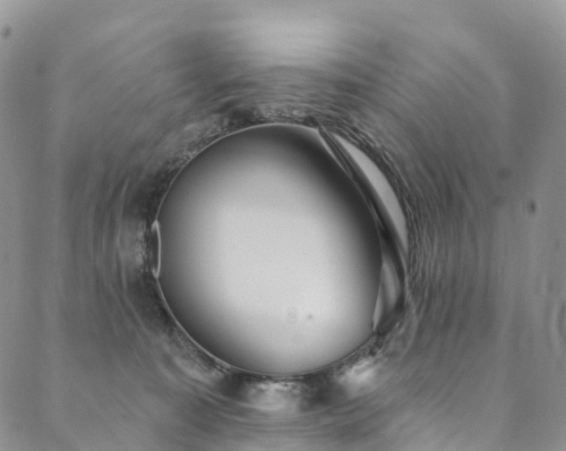 X0000090460323200707131300