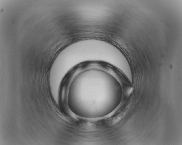 X0000090460325200707131300
