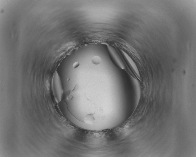 X0000090460329200707131300