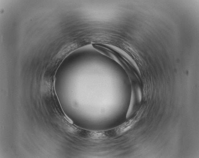 X0000090460333200707131259