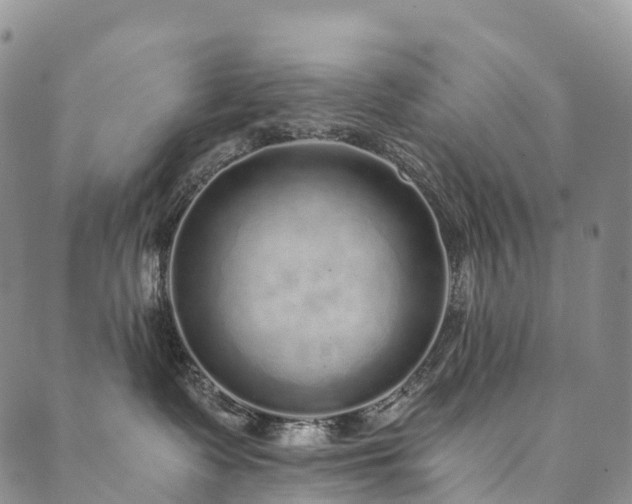 X0000090460335200707131259