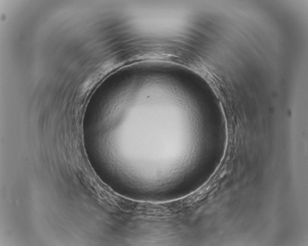 X0000090460337200707131259