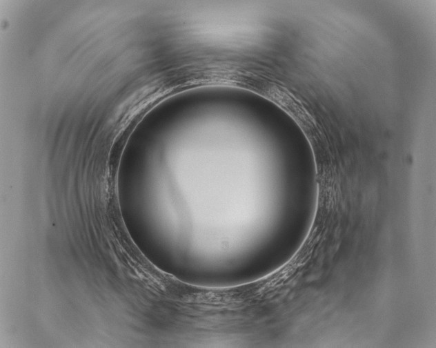 X0000090460338200707131259