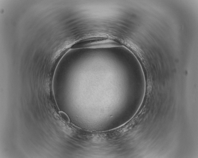 X0000090460345200707131259