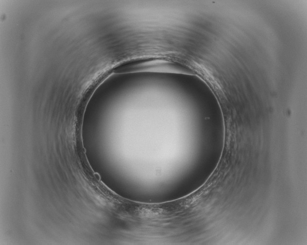 X0000090460346200707131259