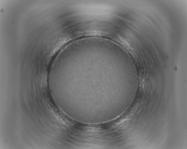 X0000090460347200707131259