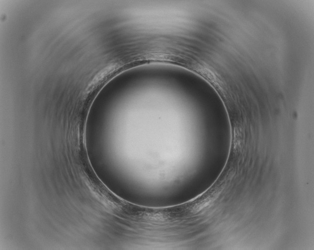 X0000090460349200707131259
