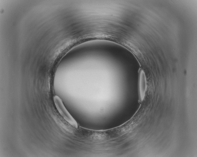 X0000090460350200707131259