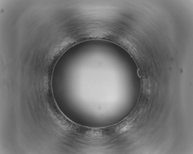 X0000090460354200707131259