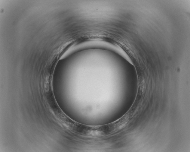 X0000090460360200707131259