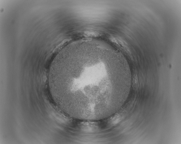 X0000090460367200707131259
