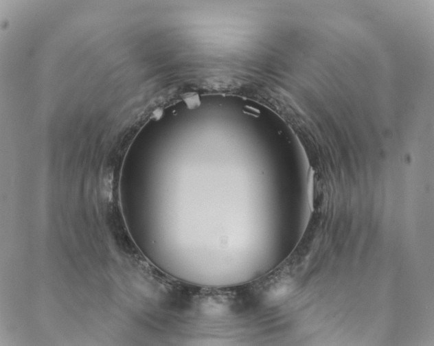 X0000090460368200707131259