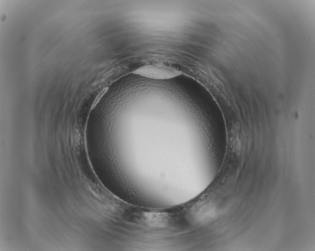 X0000090460371200707131259
