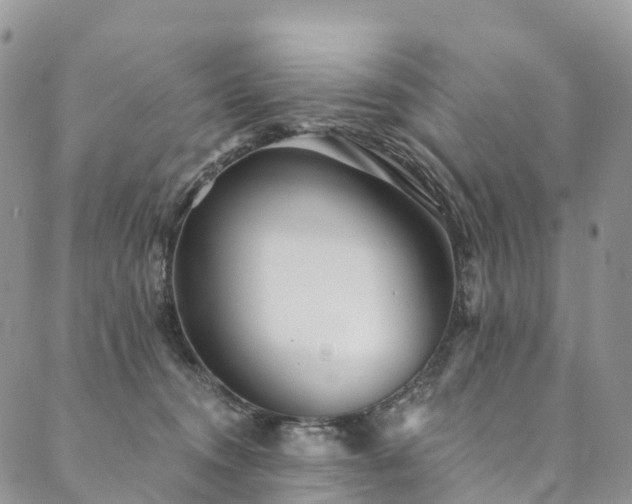 X0000090460372200707131259