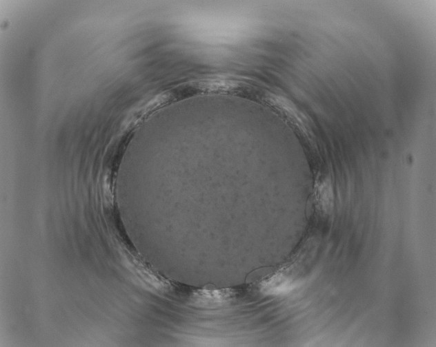 X0000090460381200707131259