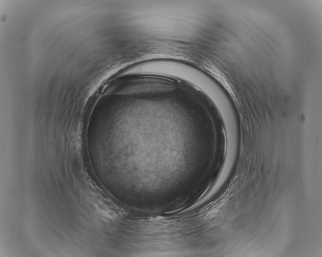 X0000090460387200707131259