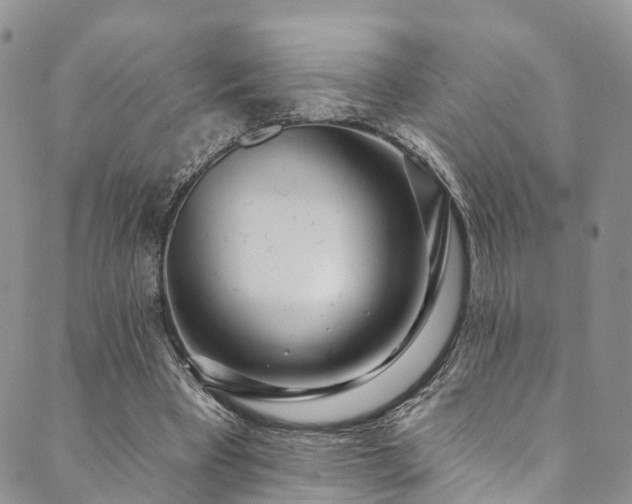 X0000090460393200707131259
