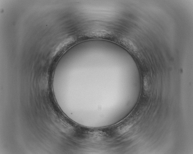 X0000090460396200707131258