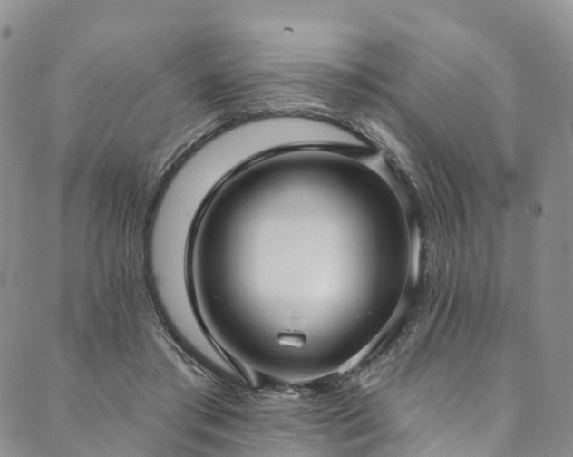 X0000090460405200707131258