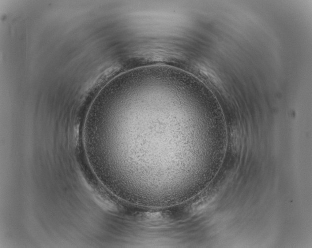 X0000090460406200707131258