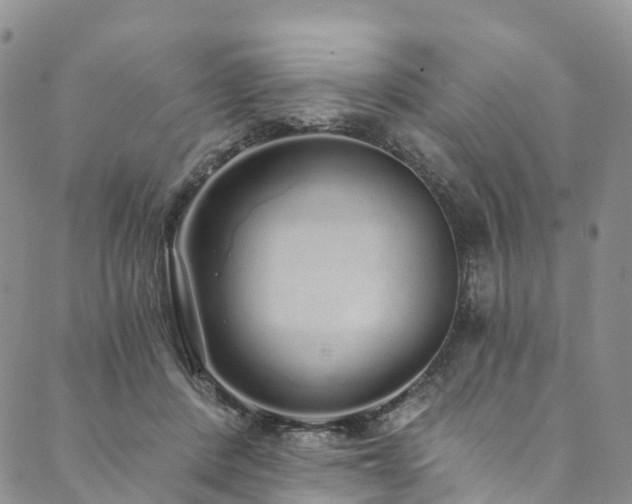 X0000090460408200707131258