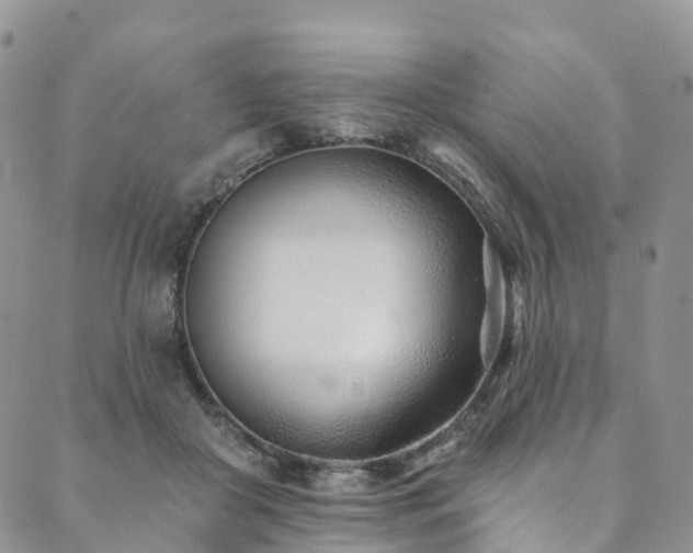 X0000090460410200707131258