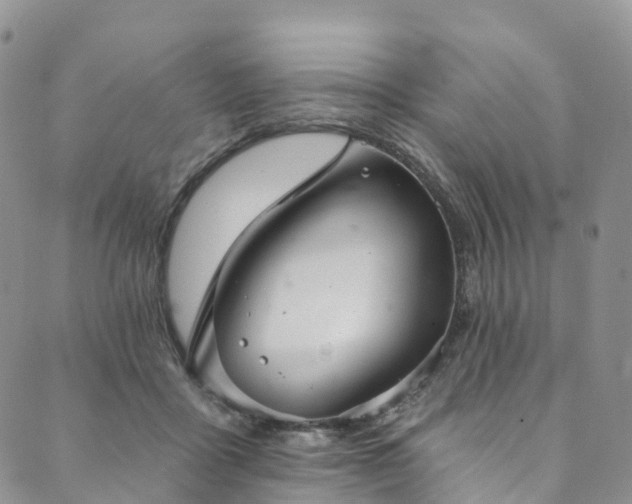 X0000090460411200707131258