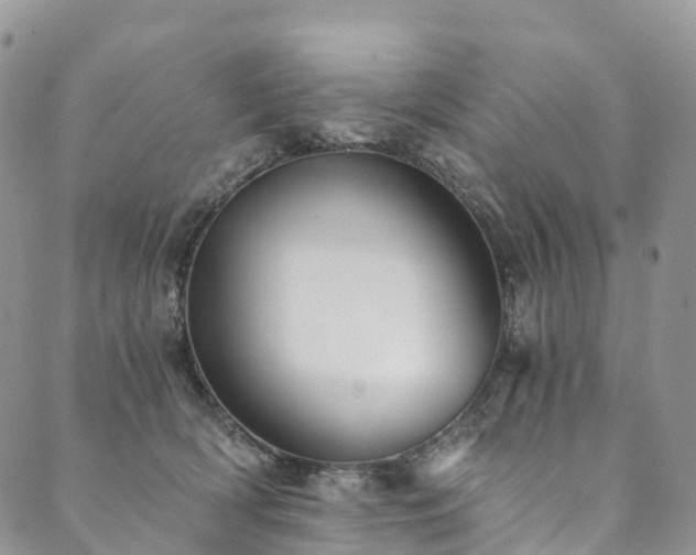 X0000090460418200707131258