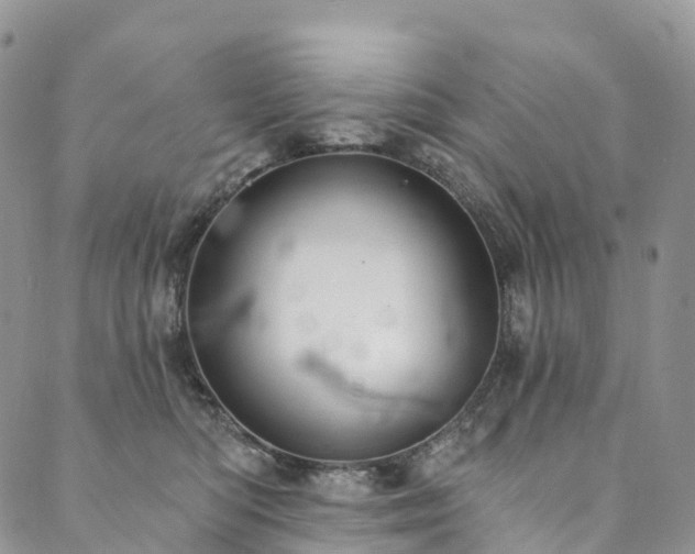 X0000090460422200707131258