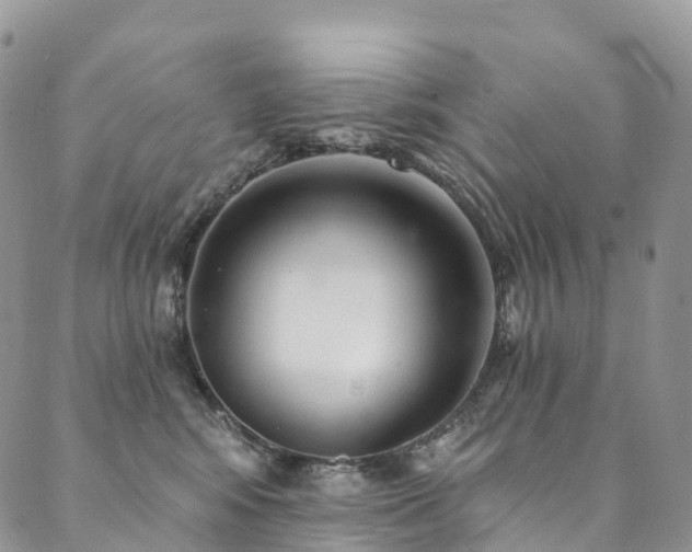 X0000090460424200707131258
