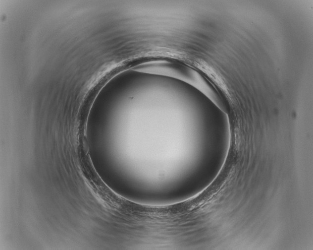 X0000090460436200707131257