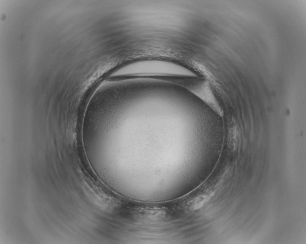 X0000090460443200707131257
