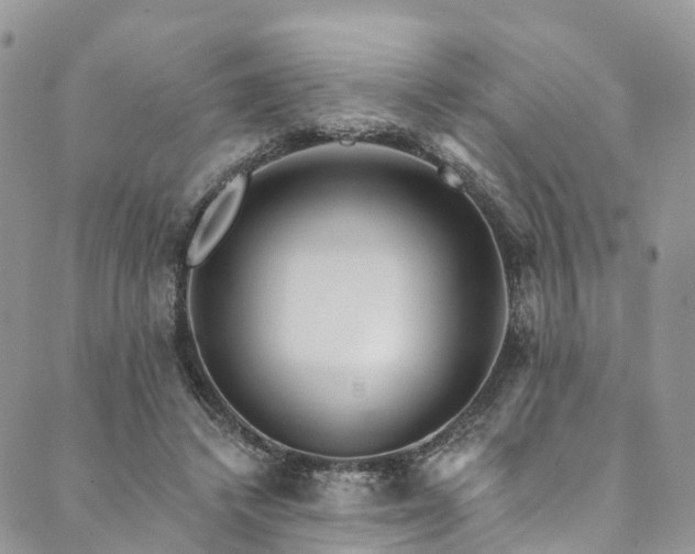 X0000090460448200707131257