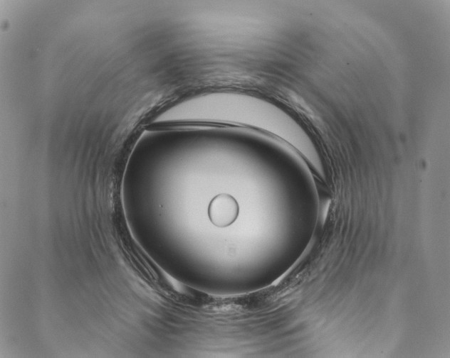 X0000090460452200707131257
