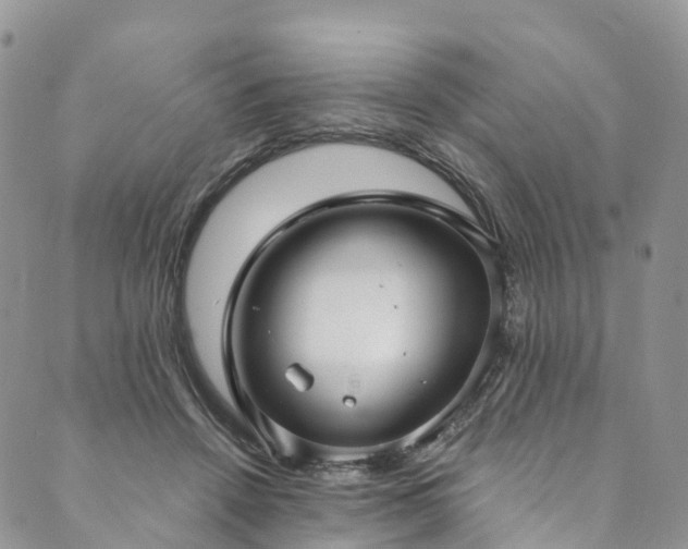 X0000090460456200707131257