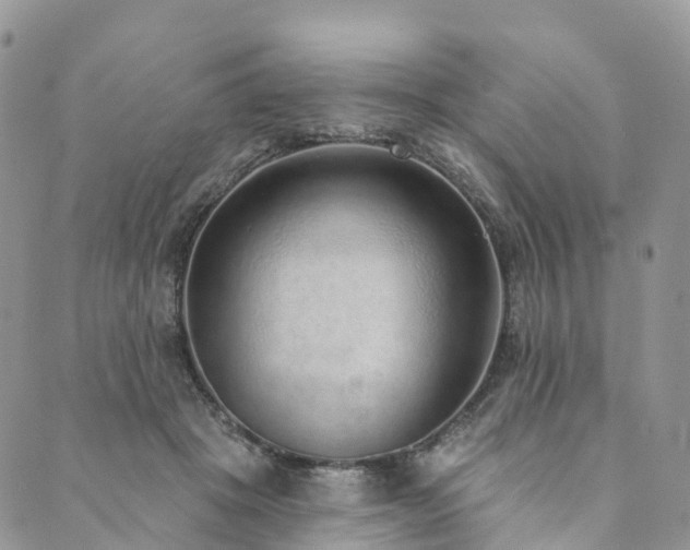 X0000090460457200707131257