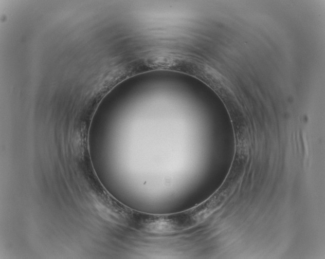 X0000090460460200707131258