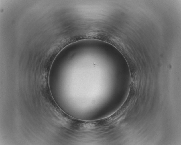 X0000090460462200707131258