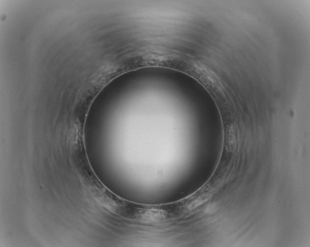 X0000090460463200707131258