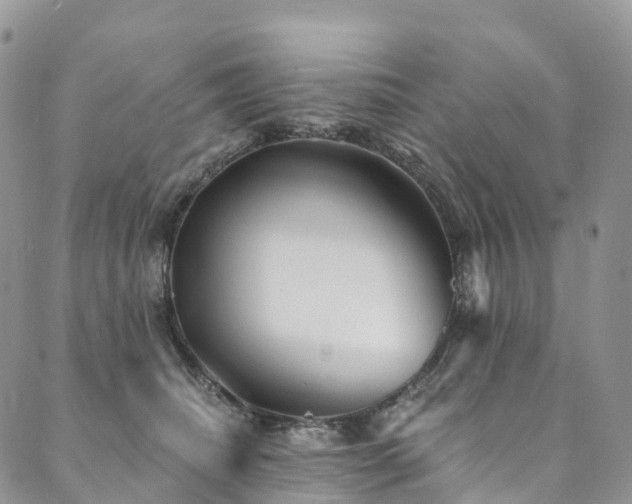 X0000090460468200707131258
